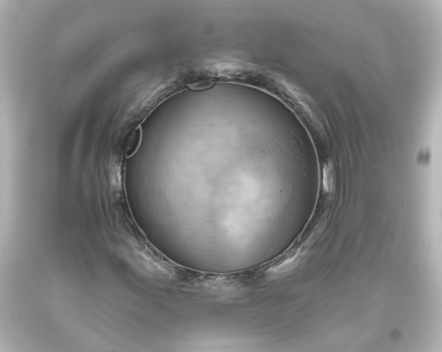 X0000093561155200710291013