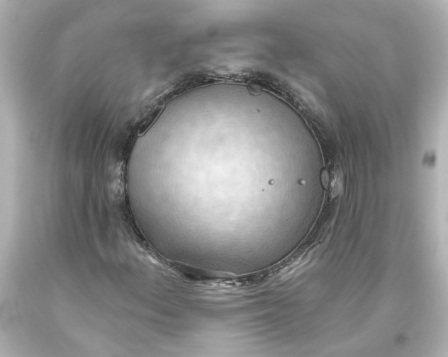 X0000093561156200710291013