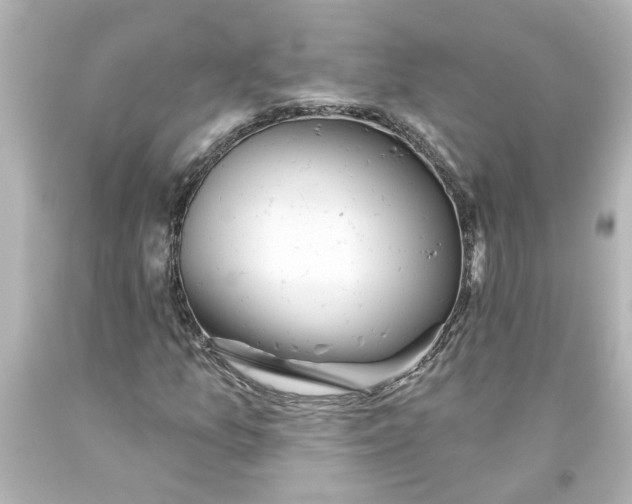 X0000093561157200710291013