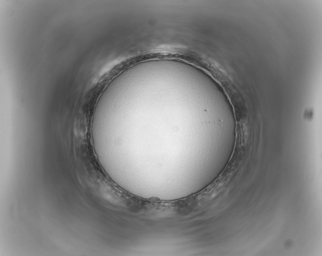 X0000093561158200710291013