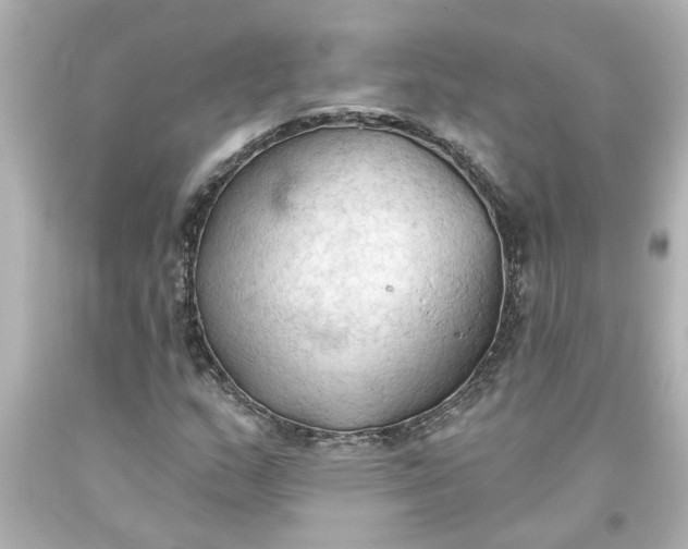 X0000093561159200710291013