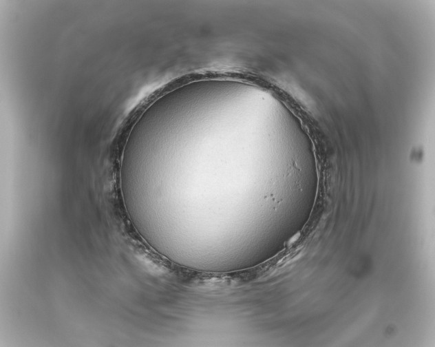 X0000093561160200710291013