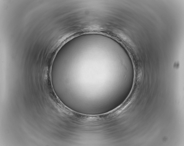 X0000093561161200710291013