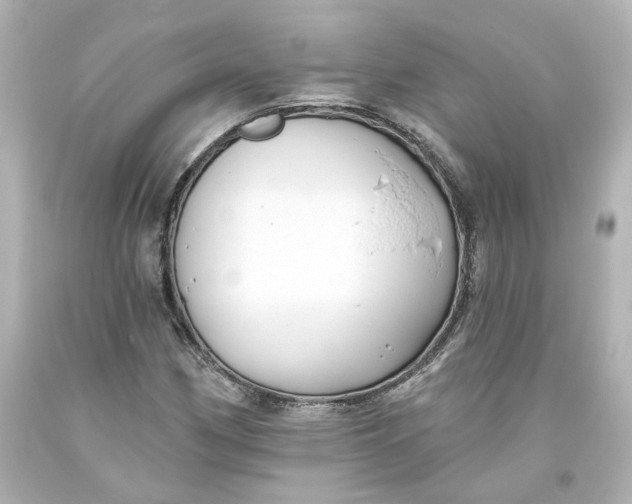 X0000093561162200710291013