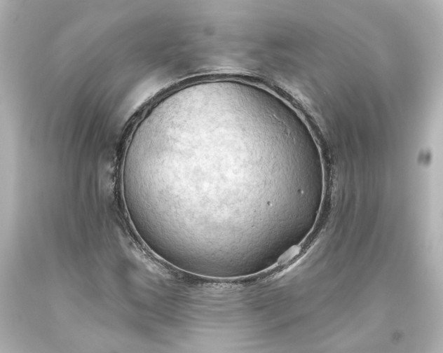 X0000093561163200710291013