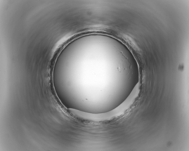 X0000093561164200710291013