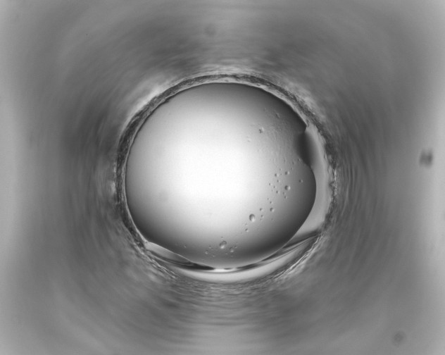 X0000093561165200710291013