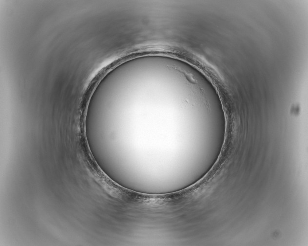 X0000093561166200710291013