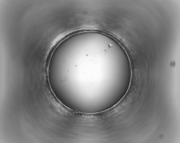 X0000093561168200710291013