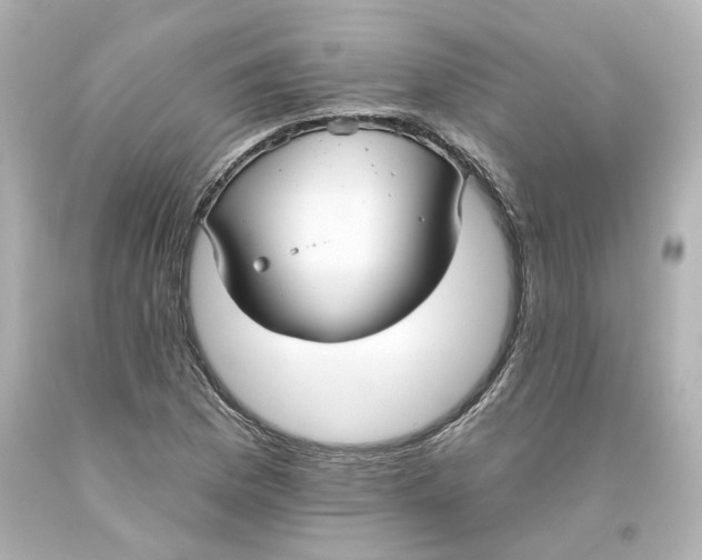 X0000093561169200710291013