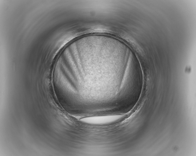 X0000093561170200710291013