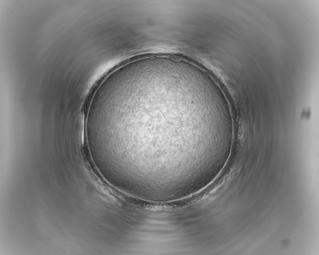 X0000093561171200710291013