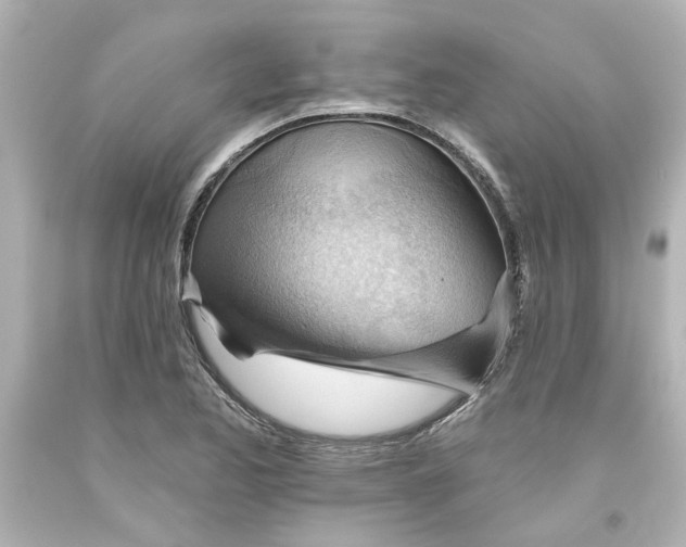 X0000093561173200710291013