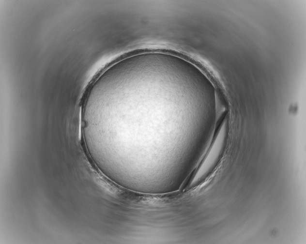 X0000093561175200710291013