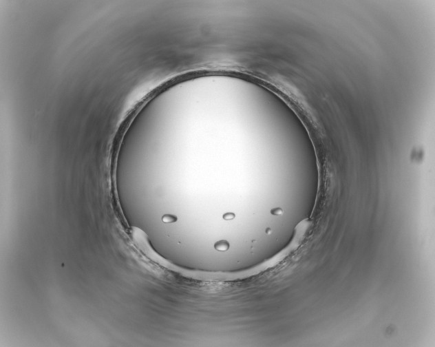 X0000093561176200710291013