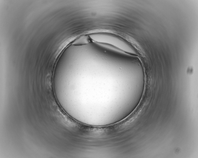 X0000093561177200710291012