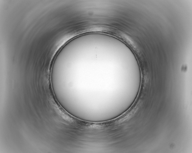 X0000093561178200710291012