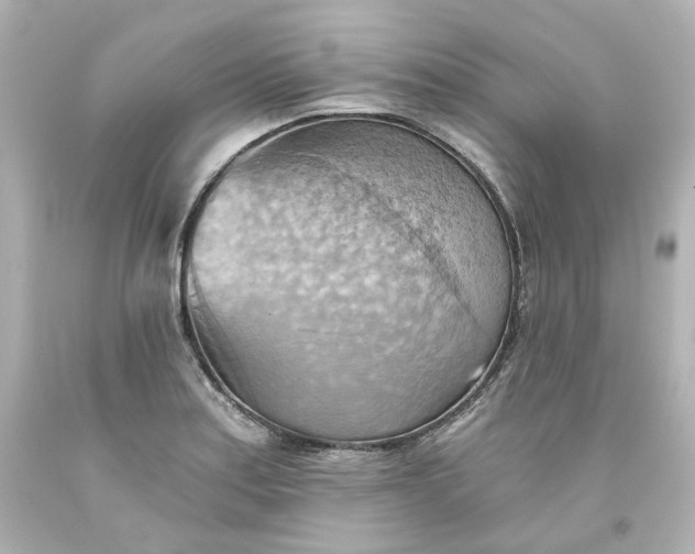 X0000093561179200710291012