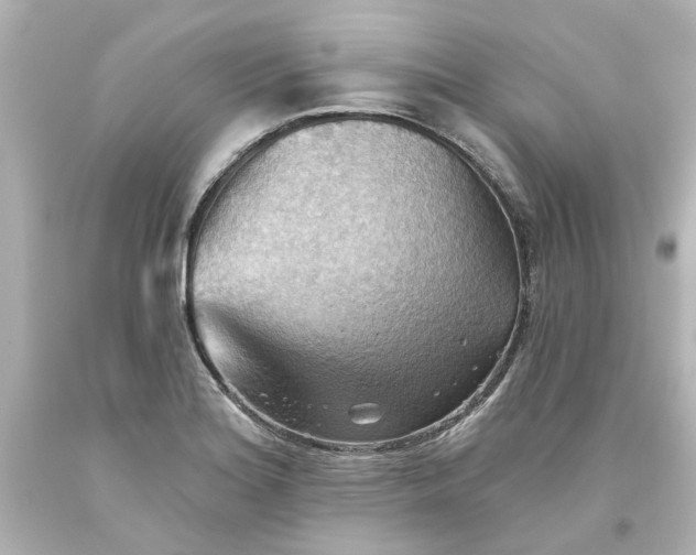 X0000093561180200710291012