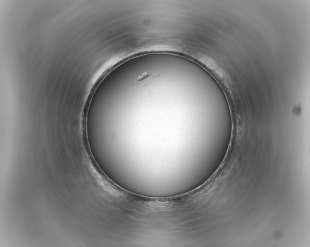 X0000093561181200710291012