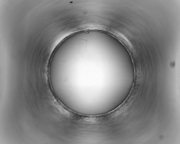 X0000093561182200710291012