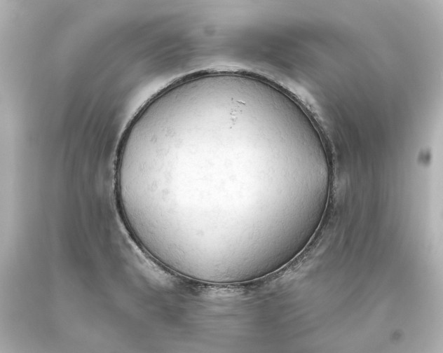 X0000093561183200710291012