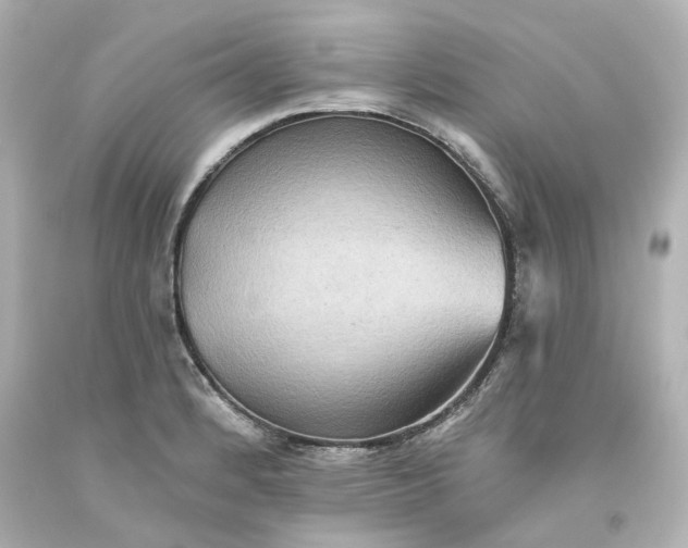 X0000093561184200710291012