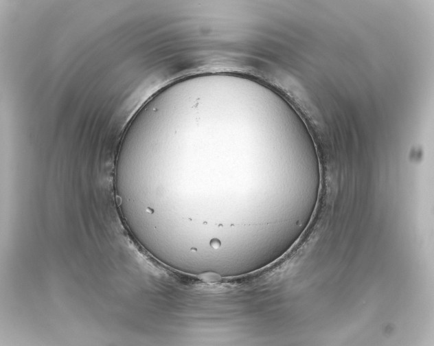 X0000093561185200710291012