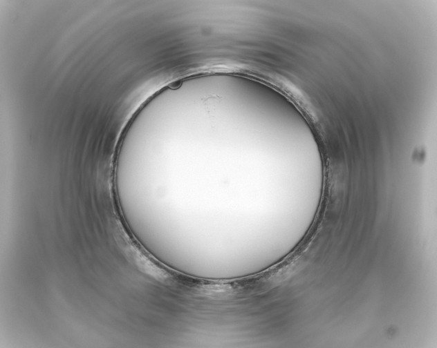 X0000093561186200710291012