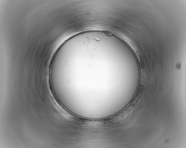 X0000093561187200710291012