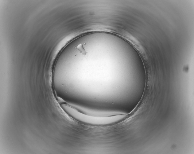 X0000093561188200710291012