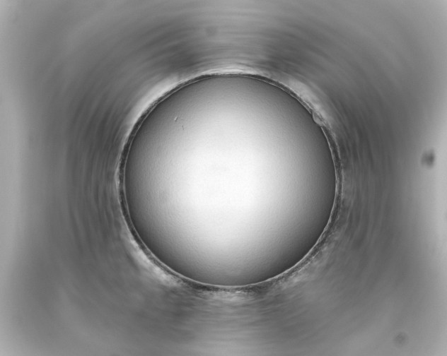 X0000093561189200710291012