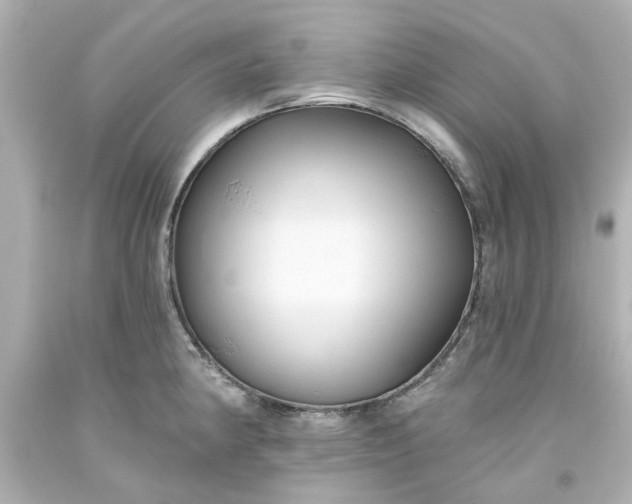 X0000093561190200710291012