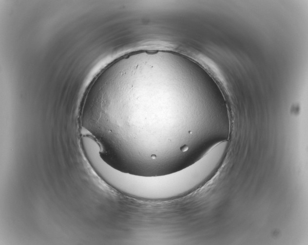 X0000093561192200710291012