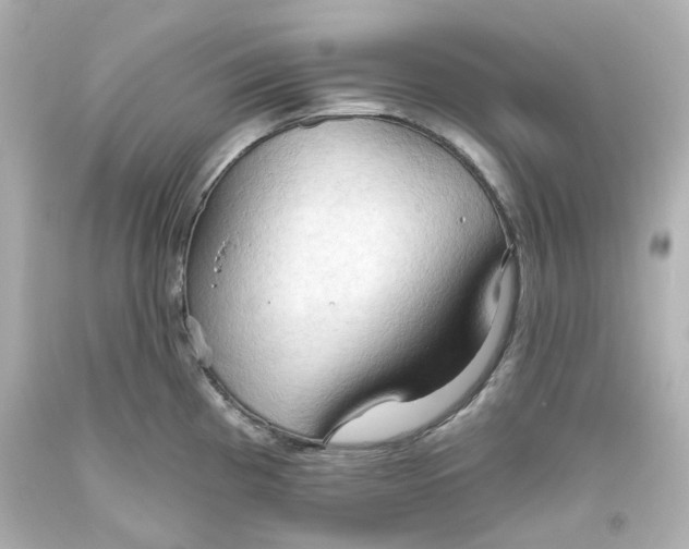 X0000093561193200710291012