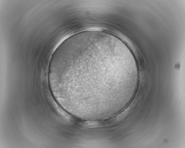 X0000093561194200710291012