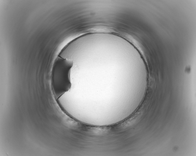 X0000093561195200710291012