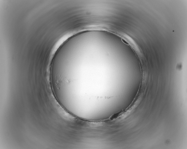 X0000093561196200710291012