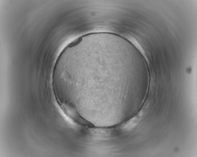 X0000093561197200710291012