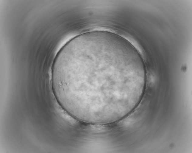 X0000093561198200710291012