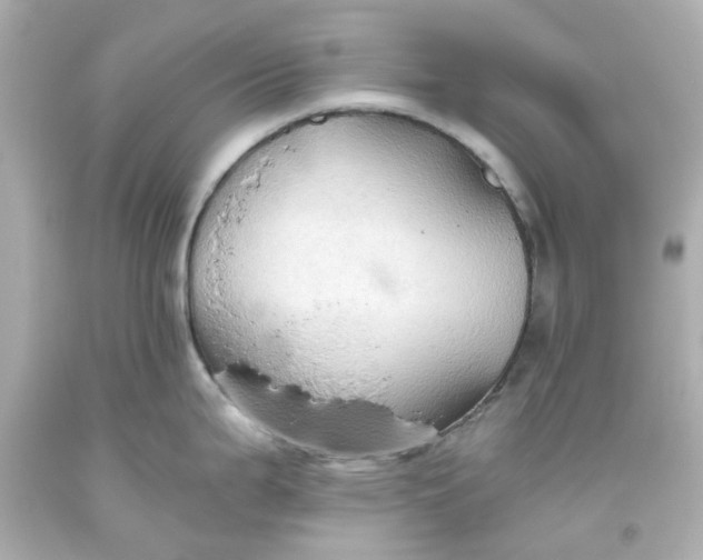 X0000093561199200710291012