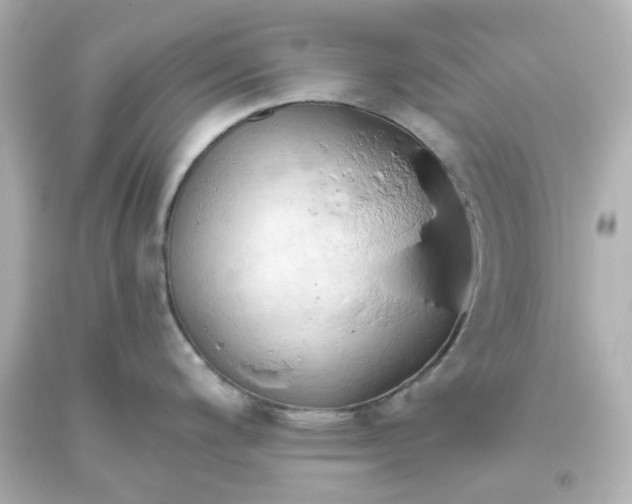 X0000093561200200710291012