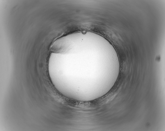 X0000093561201200710291012