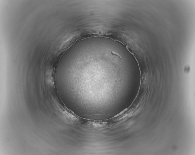 X0000093561202200710291012