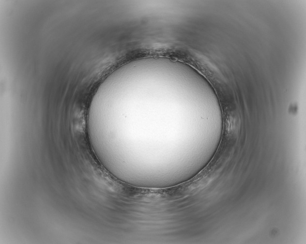 X0000093561204200710291012