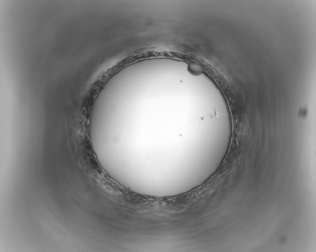 X0000093561207200710291012