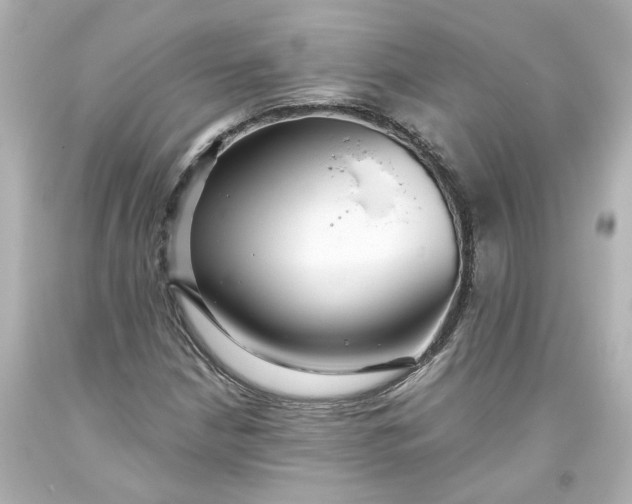 X0000093561210200710291012