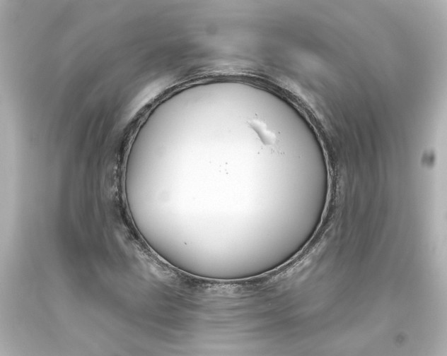 X0000093561211200710291012