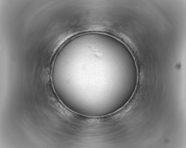 X0000093561212200710291012