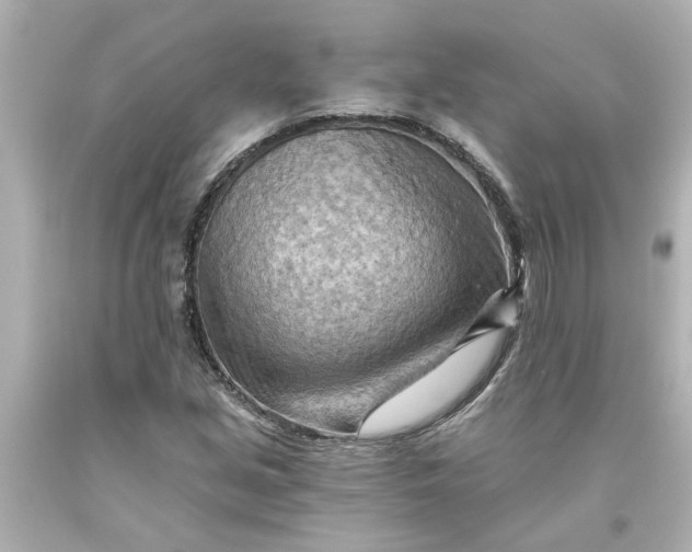 X0000093561213200710291012